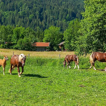 Groebl-alm Haus Zur Schoenen Aussicht Graswang