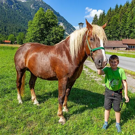 Groebl-alm Haus Zur Schoenen Aussicht