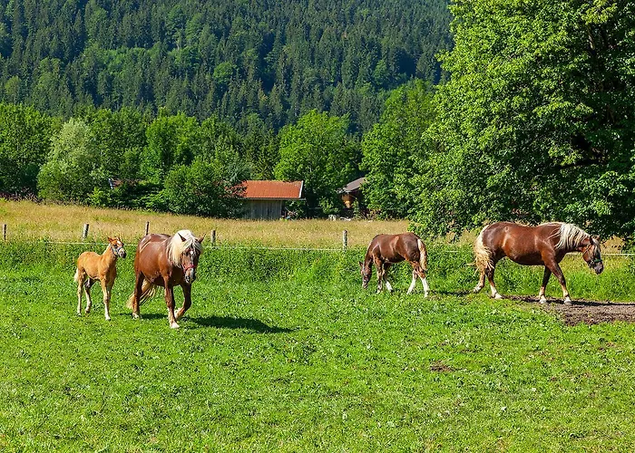 Groebl-alm Haus Zur Schoenen Aussicht Graswang